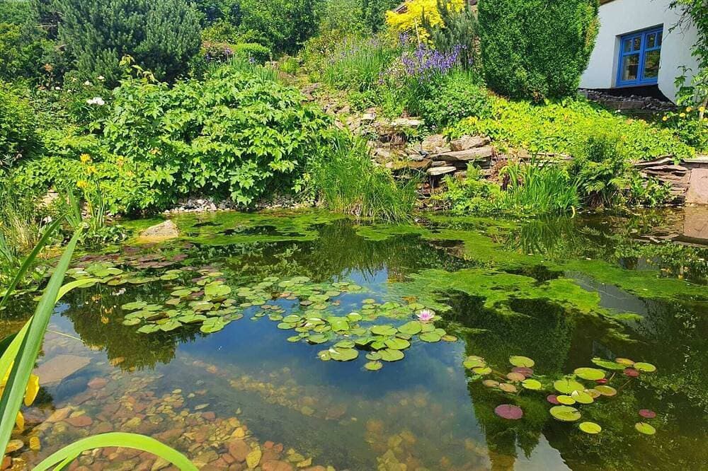 Foto 13 von 30: Gemütliches Ferienhaus am Reinhardswald in der Nähe der Sababurg