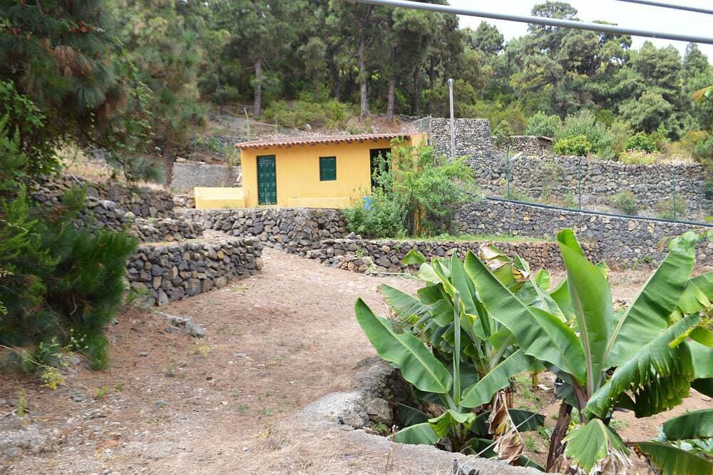 Foto 11 von 30: Finca im Norden Teneriffas / Finca im Norden