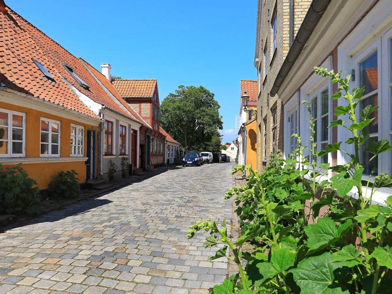 Foto 2 von 39: 3 Personen Ferienhaus in Ærøskøbing