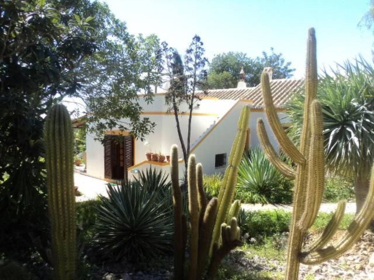 Foto 3 von 31: Landestypische Ferienfinca für die ganze Familie