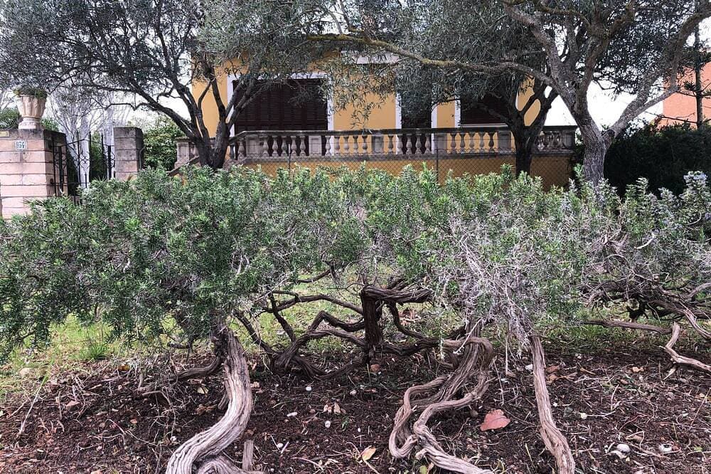 Foto 10 von 30: Strandnahes Ferienhaus mit eigenem Pool. Ruhige Lage. 5min zum Strand Sa Coma.