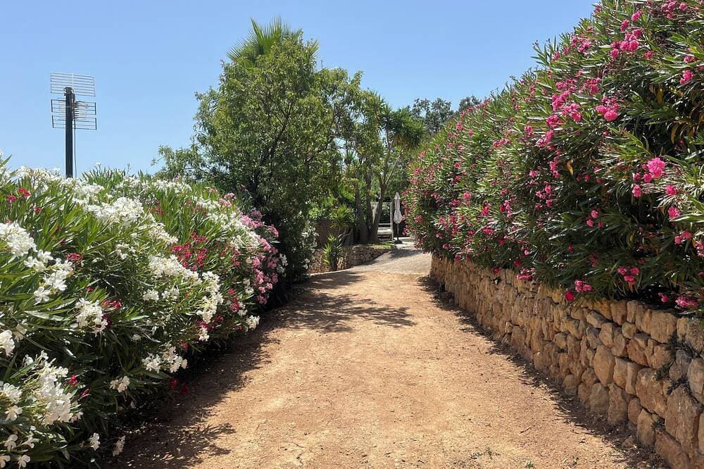 Foto 7 von 15: Ferien auf der Finca Can Juan