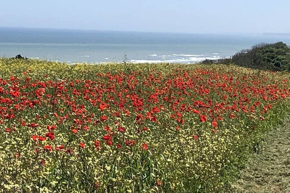 Foto 12 von 17: Villa Bord de Mer Omaha Beach