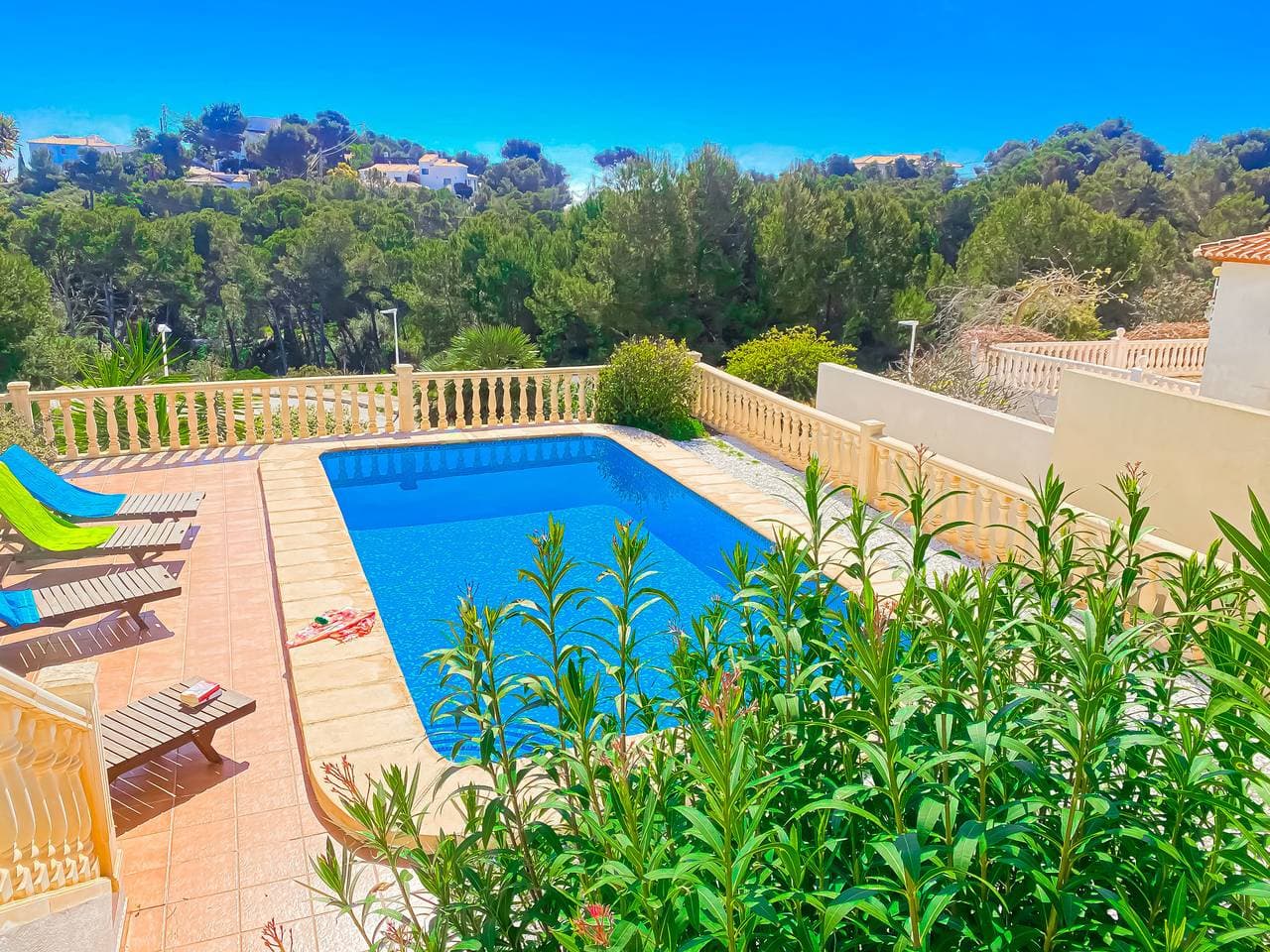 Foto 8 von 14: 0352 Canela -Monte Javea-