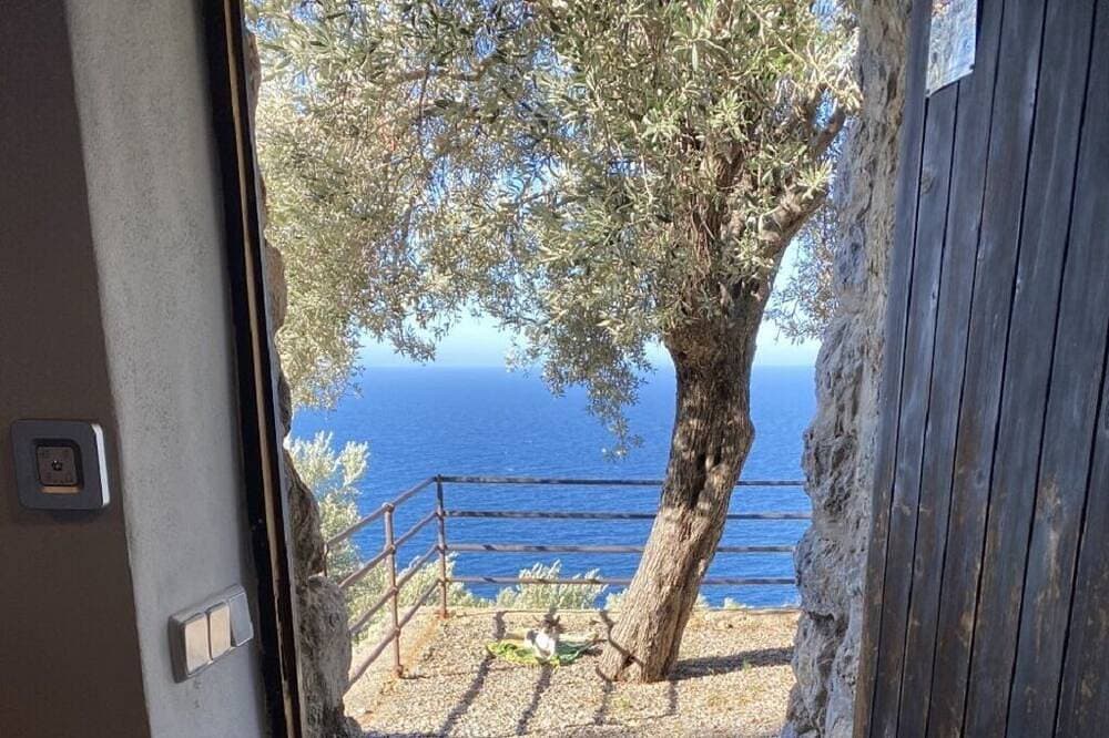 Foto 6 von 13: Shelter \"Es Mirador\" Cami de S'Illeta - Port de Soller