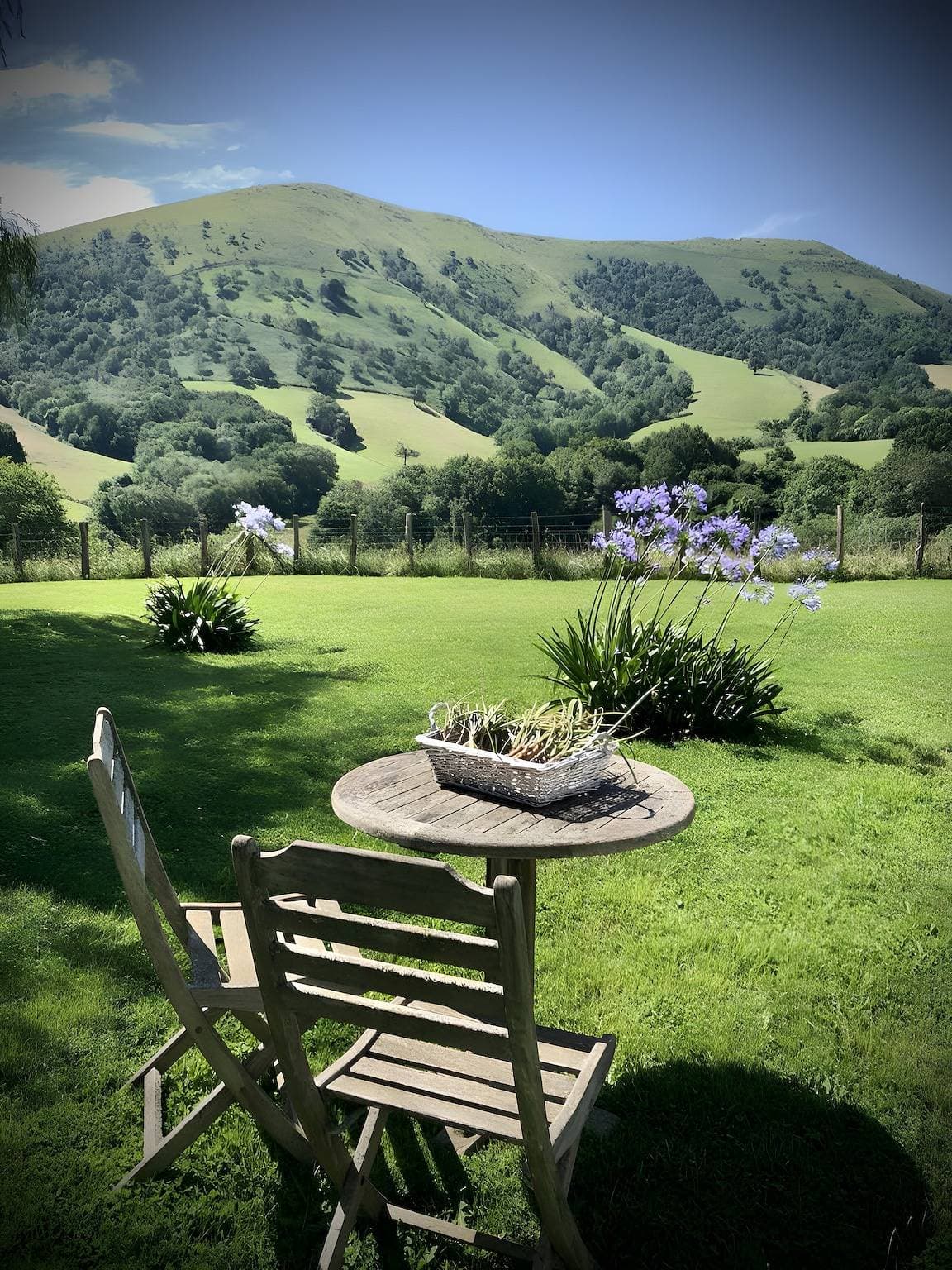 Foto 13 von 34: Gästezimmer 'Hocha' mit privatem Garten und WLAN