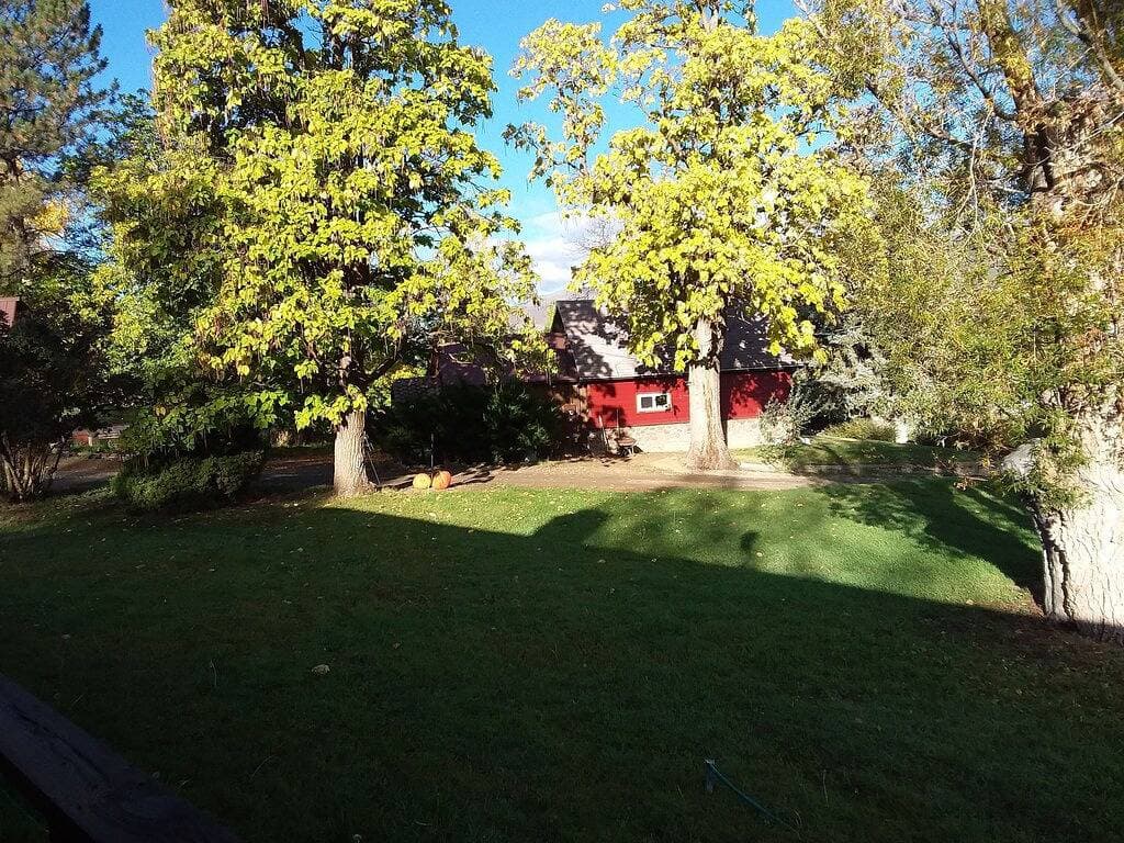 Foto 8 von 10: Catalpa Cottage is named after the giant Catalpa trees surrounding the cottage ~
