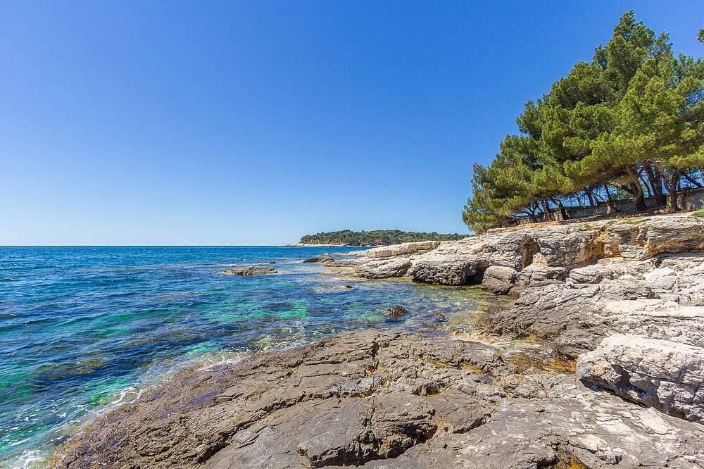 Foto 9 von 18: 50 Meter zum Strand mit Küche, Parkplatz, Haustiere erlaubt, Garten, Grill