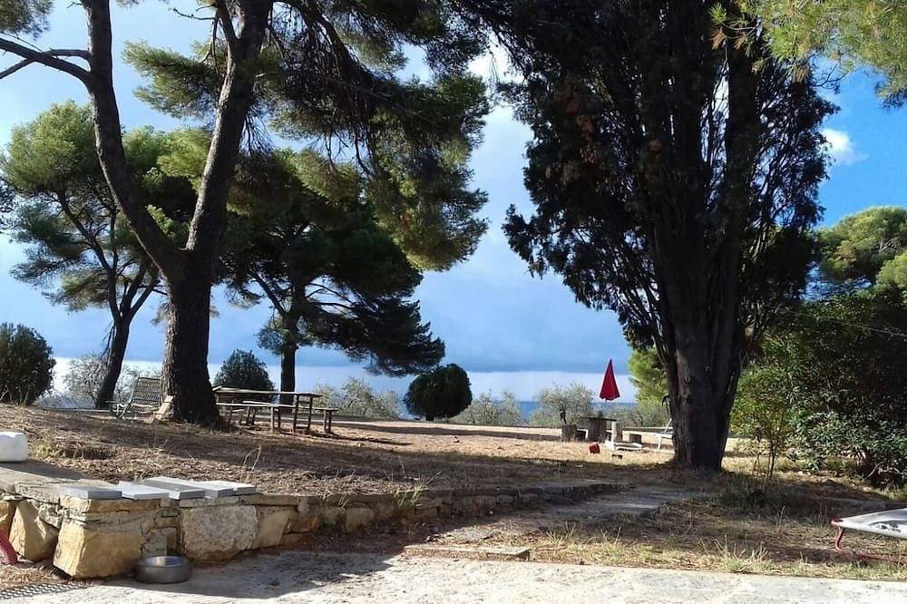 Foto 11 von 11: Zedernhaus, in einem großen mediterranen Garten, den Seealpen und dem Meer