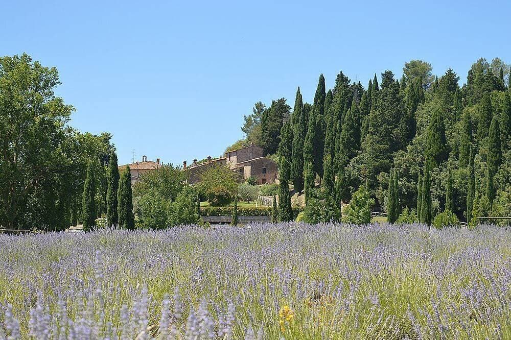 Foto 12 von 16: Casa Ramisia M: A characteristic and welcoming two-story apartment that is part of an ancient country house surrounded by a wonderful park, with Free Wi-Fi.