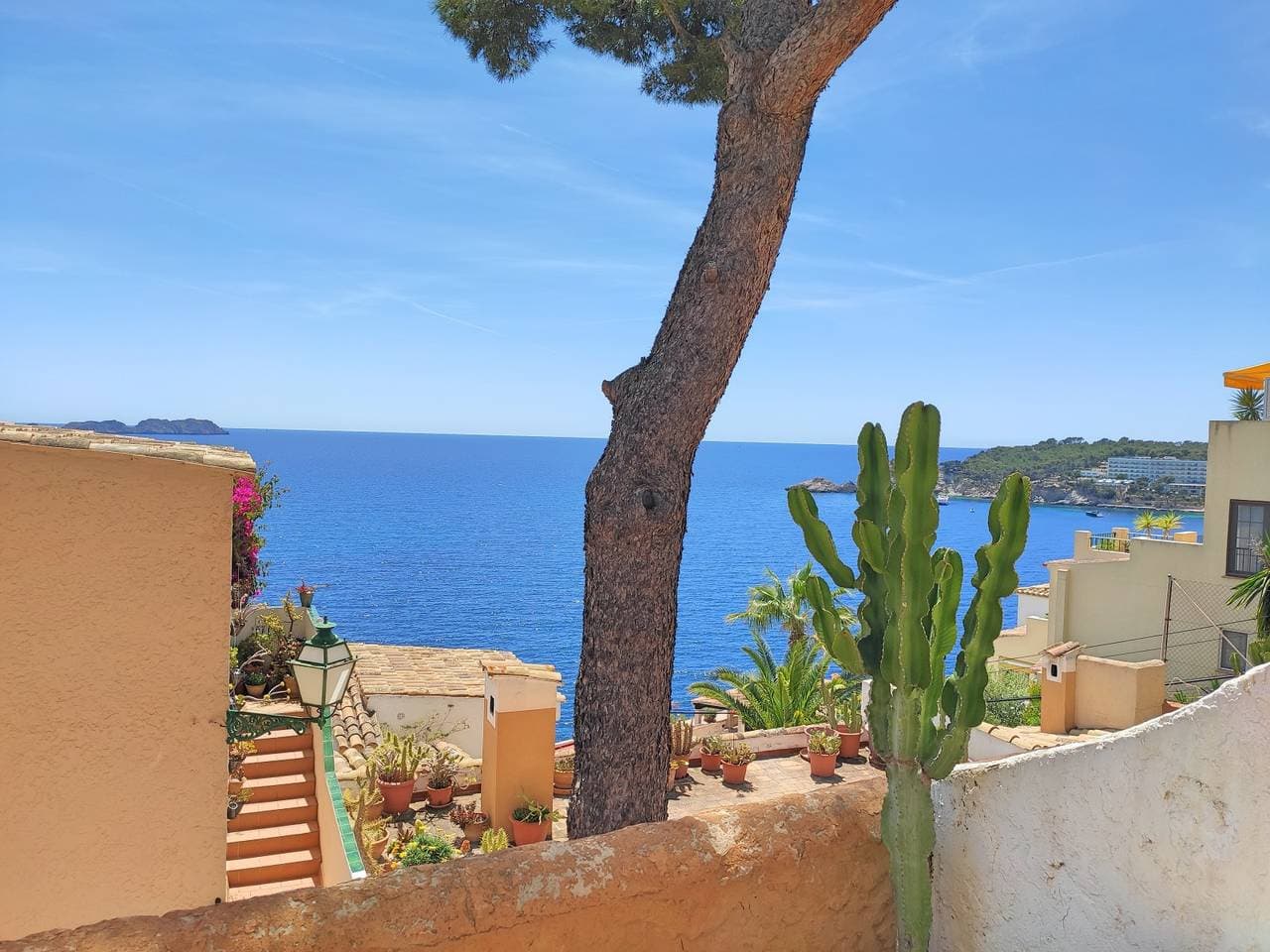 Foto 11 von 43: A3017  Meerblick-Wohnung für 2 Personen in Cala Fornells