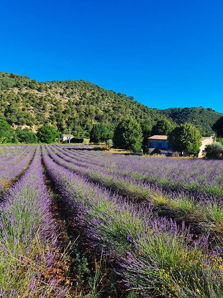 Foto 7 von 15: Le Petit Paradis