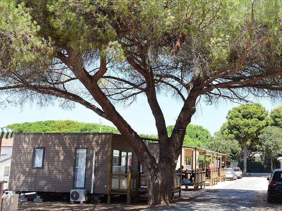 Foto 6 von 40: Camping Tikayan le Méditerranée - Mobilheim 2 personen - Tennessy Komfort