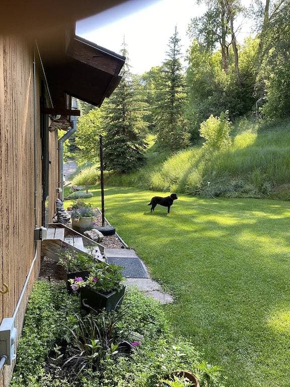 Eine wunderbare, abgelegene zweistöckige Hütte, Deck, Feuerstelle, gefüllter Teich zum Angeln. 1