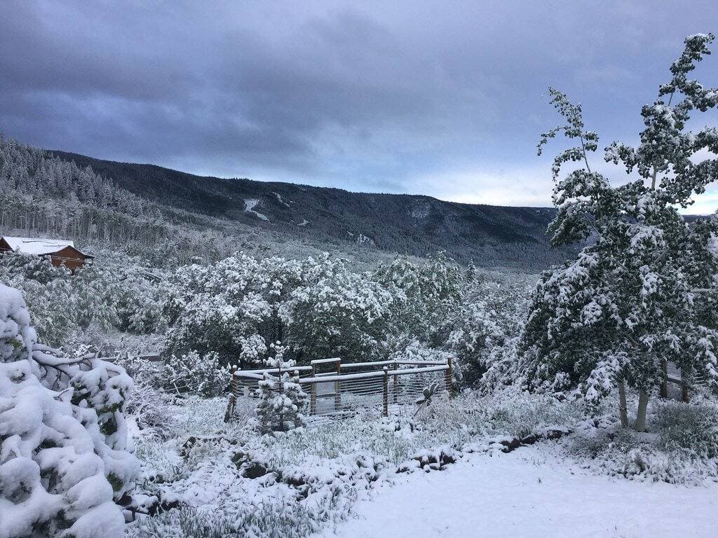 Custom log house located on the Grand Mesa one mile from Powderhorn Ski Resort. 1