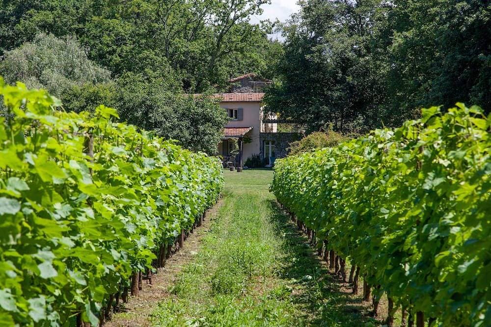 Foto 7 von 30: Pian della Chiesa, Concara - Natur, Wein, Wege, Meer und Gemeinschaftspool