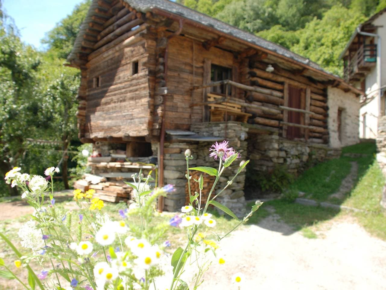 Foto 6 von 22: Rustico Rudico