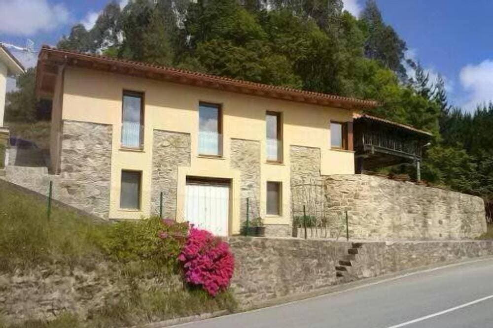 Foto 11 von 23: Schöne Aussicht auf die grüne Natur von innen Asturiana