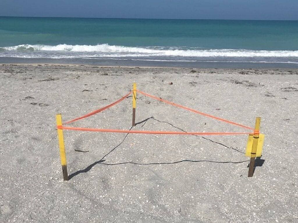 Foto 3 von 35: Sand in deinen Zehen. . . Richten Sie Ihre Haustür aus!