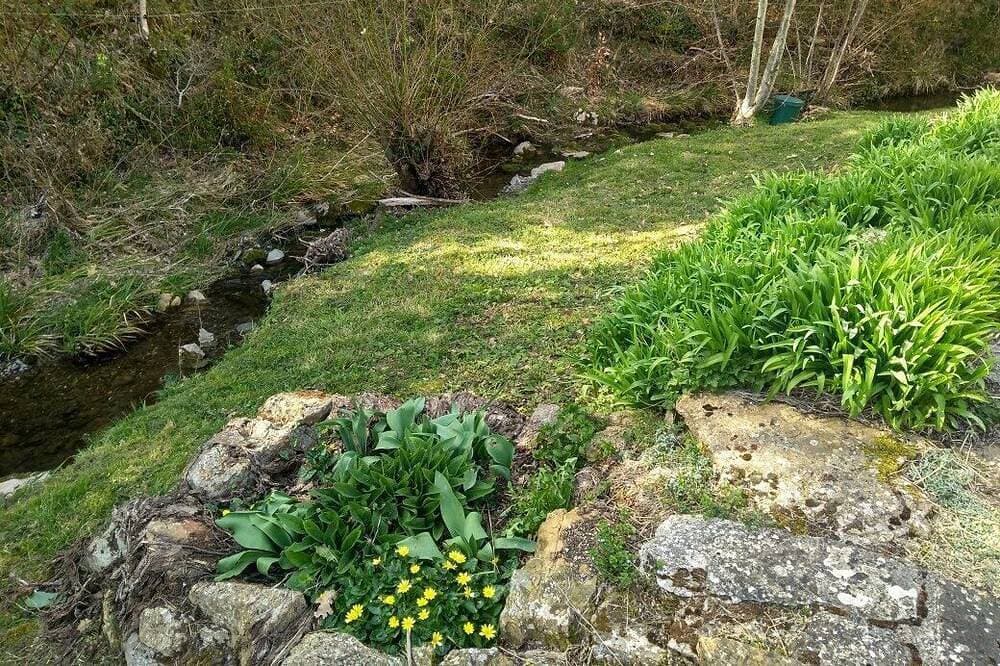 Foto 12 von 26: Umgeben von Wäldern, Ausläufern und Flüssen, geräumigen Gite im Cathare Country