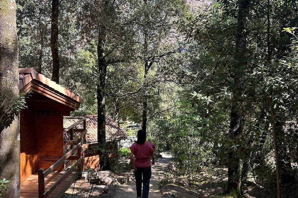 Chalet de Location au Cœur de la Forêt. Randonnées Entre Rivière et Montagne 1