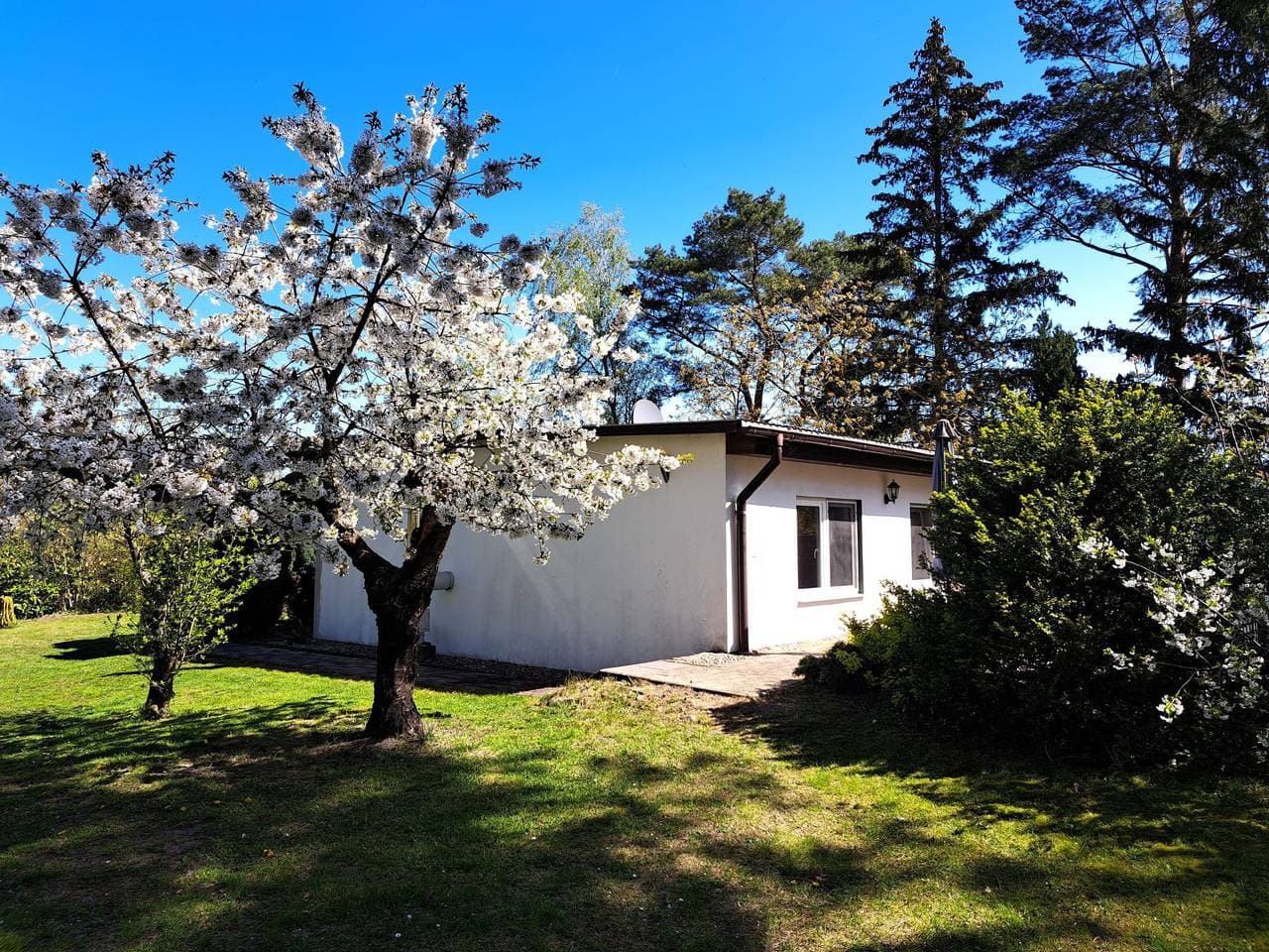 Mit Terrasse mitten im Grünen 1