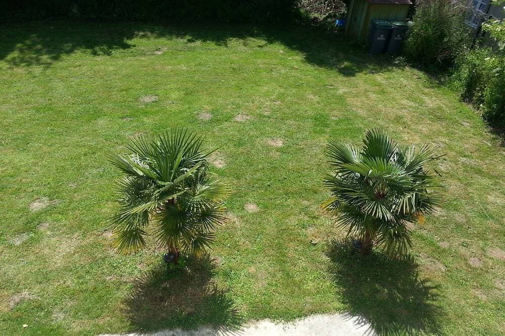 Foto 7 von 15: Magnificent apartment (80 m²) with 4 Hauptrâume, 100 meters from the beach