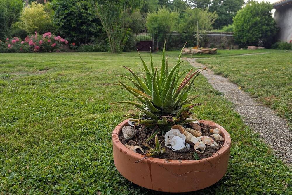 Foto 8 von 13: Bulle de campagne: Gästezimmer mit gemeinsamem Garten