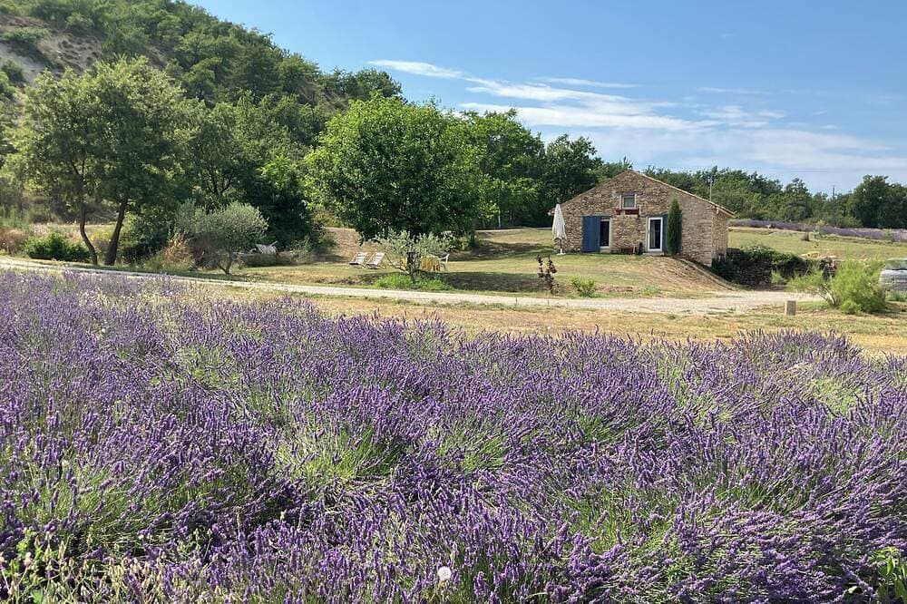 Foto 5 von 18: Quiet little cottage in the middle of lavender fields