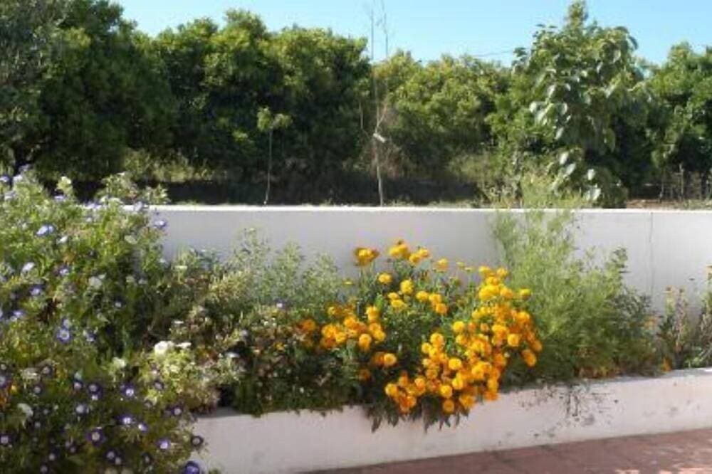 Foto 9 von 24: Kleine Villa mit 3 Schlafzimmer, 2 Badezimmer, Wi-Fi, Klimaanlage, Schwimmbad. muitos