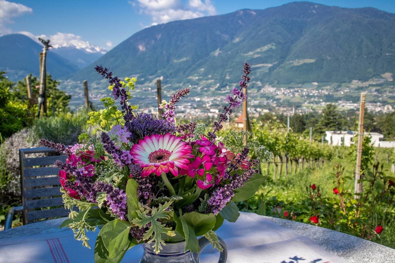 Foto 12 von 19: Ferienwohnung "Barrique" mit Bergblick, WLAN und Garten