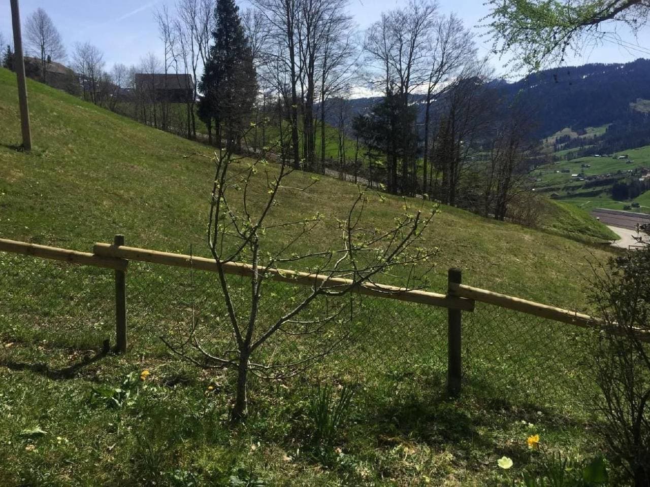 Foto 11 von 14: Feriehüsli