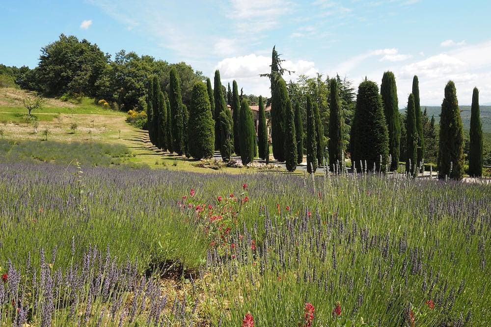 Foto 8 von 19: Glicine, romantisches Ferienhaus mit Außenterrasse, in den Hügeln von San Gimignano