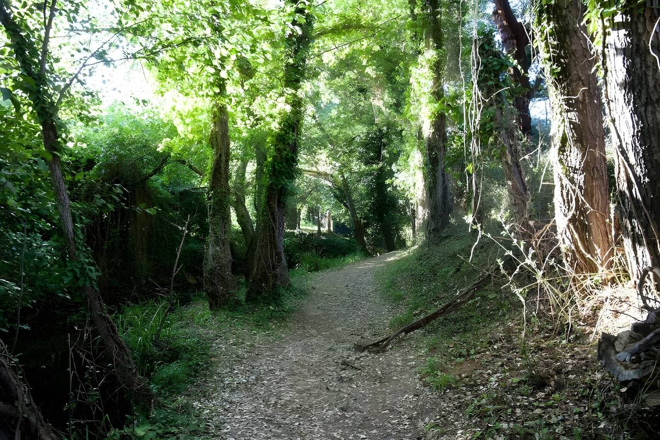Foto 8 von 23: Casa Correcaminos 2 – Ländliche Unterkunft im Naturpark