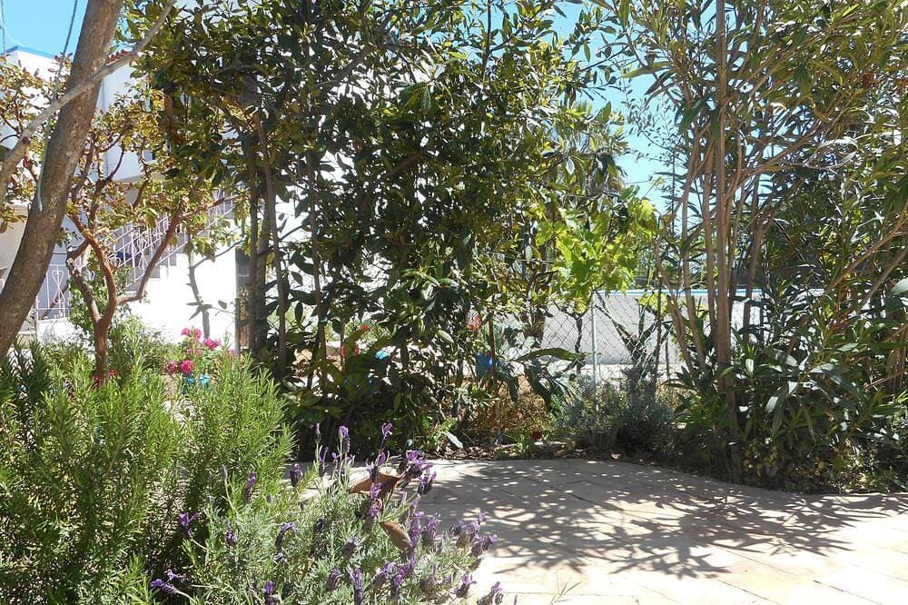 Foto 10 von 30: Typisches Algarve-Haus - Fuzeta, Arrroteia \"Casas carpinteiro\"