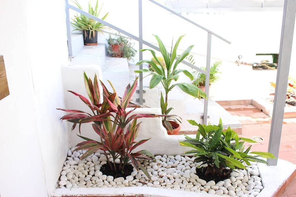 Foto 9 von 29: Ferienhaus mit Garten im Zentrum von Agaete: Casa Carmela
