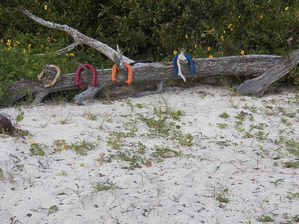 Foto 11 von 48: Private Oceanfront, Haustiere erlaubt, ein Schlafzimmer