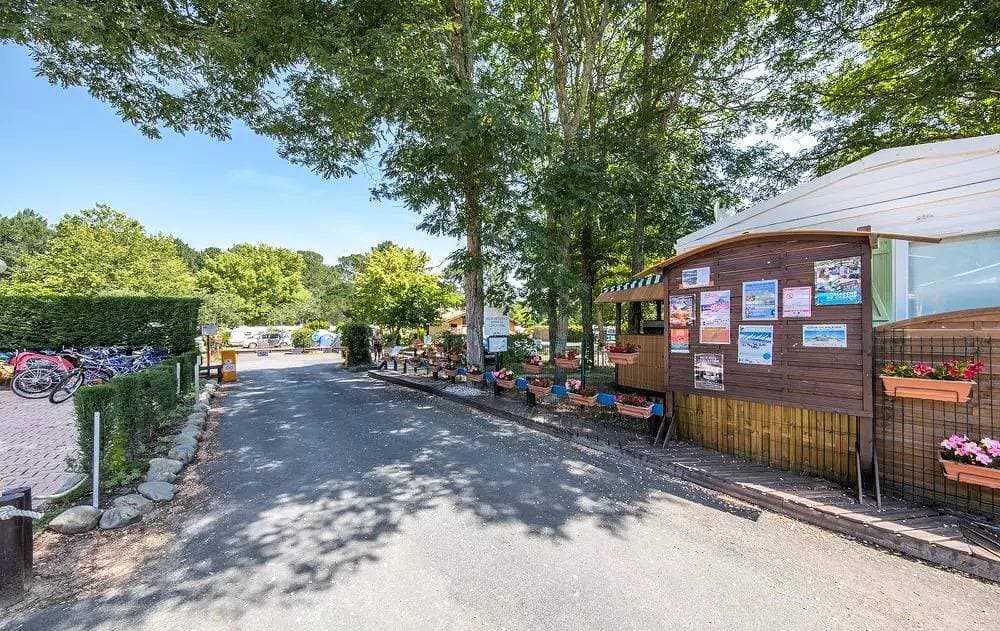 Tiny Lodge 3 Zimmer 5 Personen 1