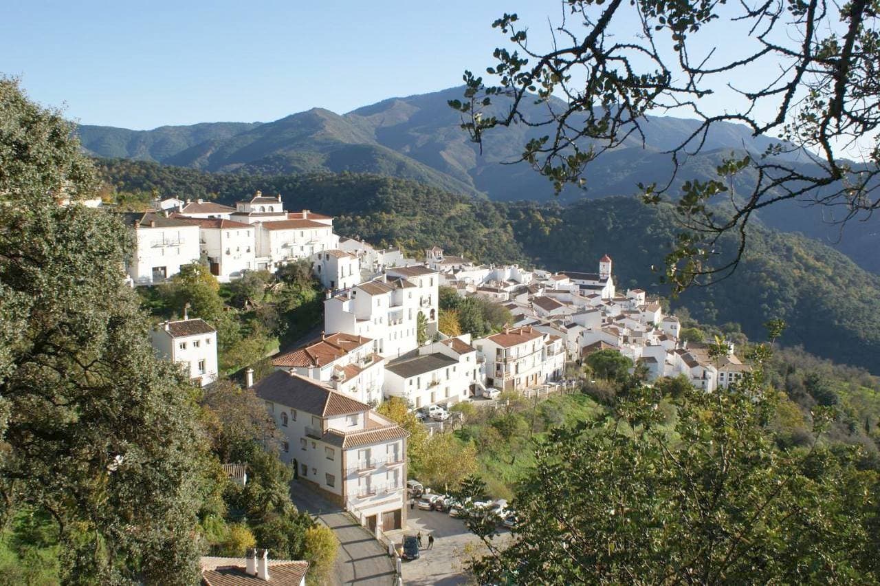 Apartamentos Rurales Jardines del Visir 1