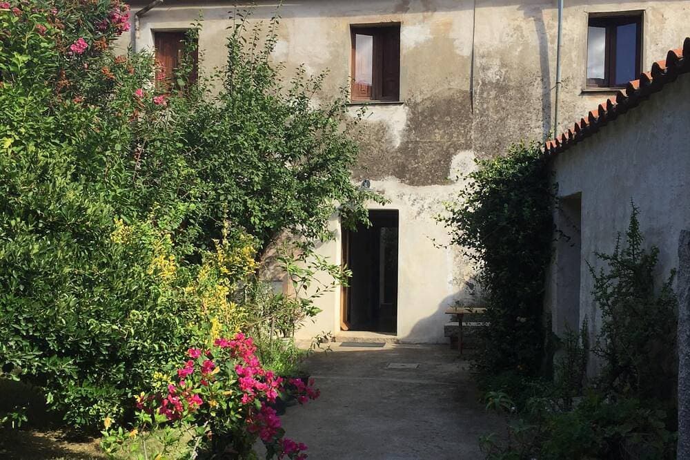 Foto 13 von 30: Altes Haus mit Garten - Meer, Entspannung und Urlaub / Casa Terra - Iun