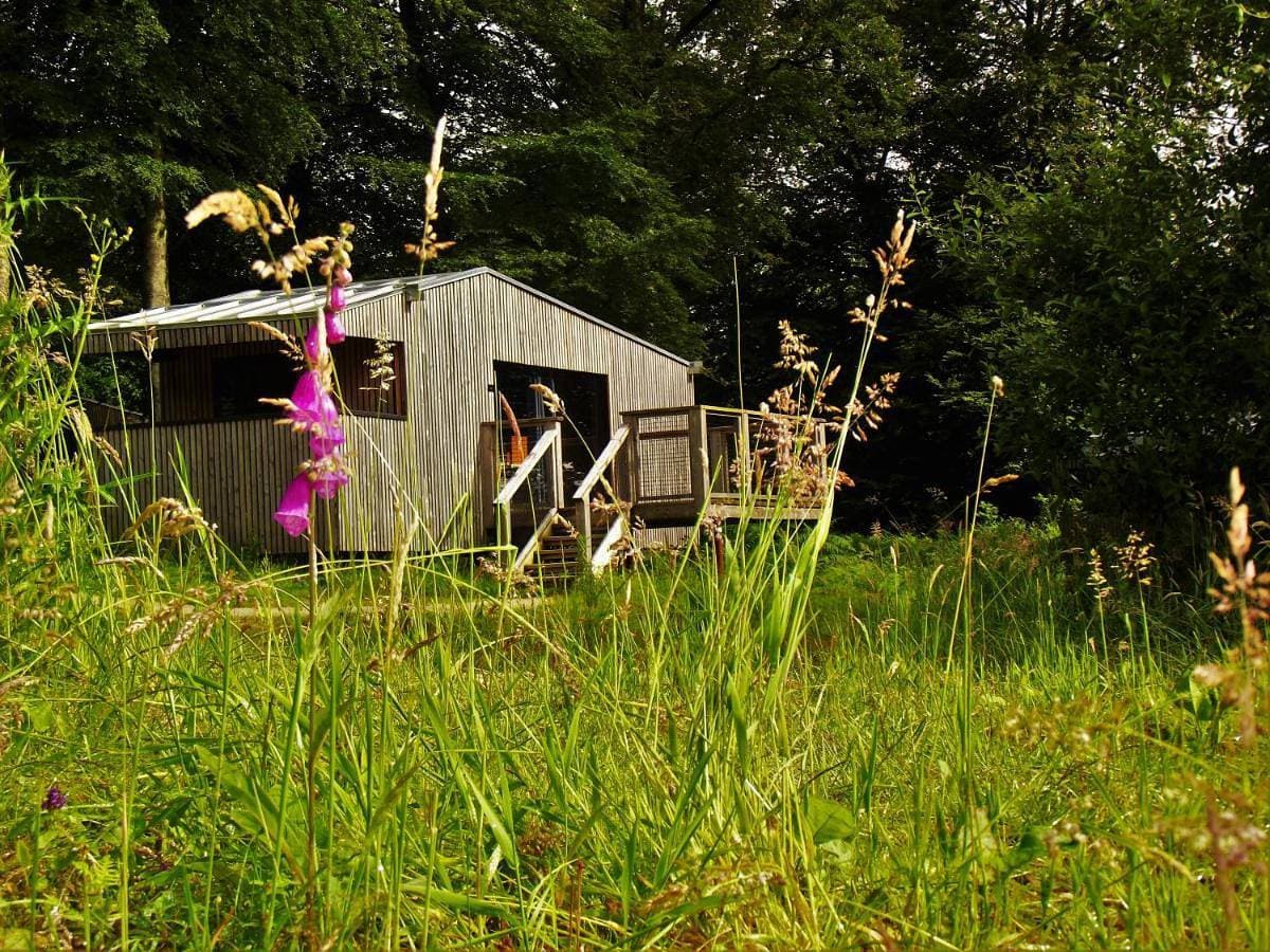 Foto 5 von 23: Wooden lodge with terrace