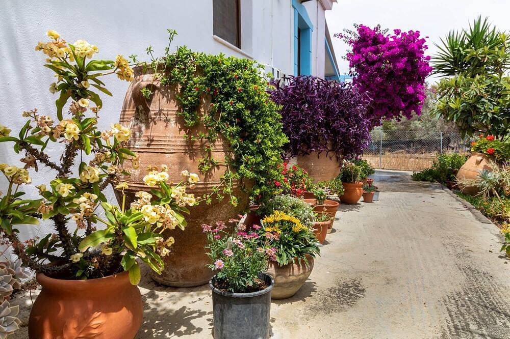 Foto 11 von 29: Lovely gardens and Comfort- 1 bedroom house, free w/wifi -nearby Komos beach