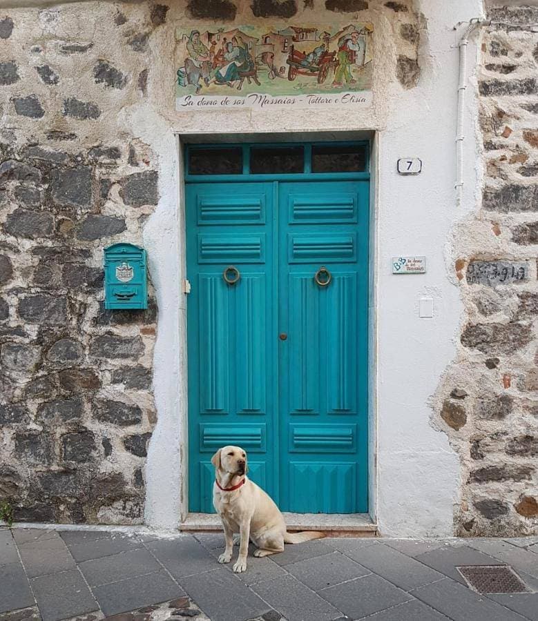 B&B Sa domo de sos Massaios 1