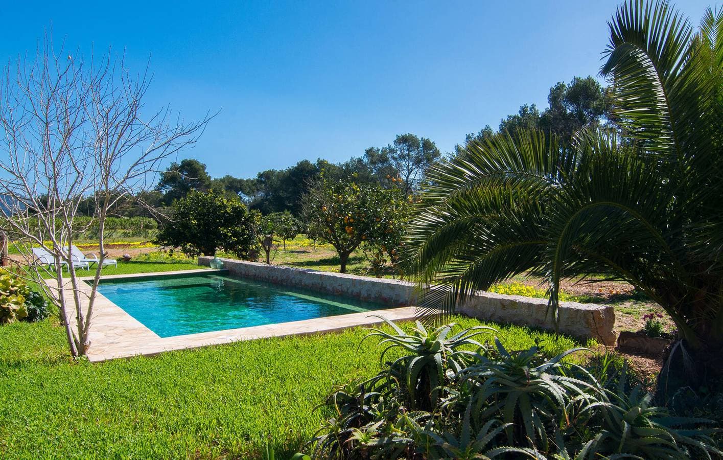 Foto 4 von 47: Appartement am Strand mit Pool und WiFi - 1,5km bis Sa Marjal