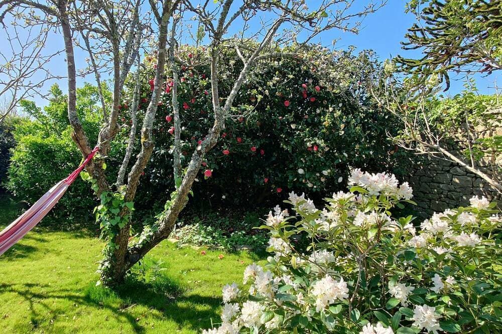 Foto 13 von 30: Avel Dro House – Pointe du Raz – 4 Personen – 2 Badezimmer – Garten
