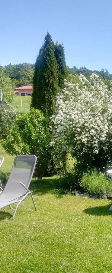Apartma Deni 1