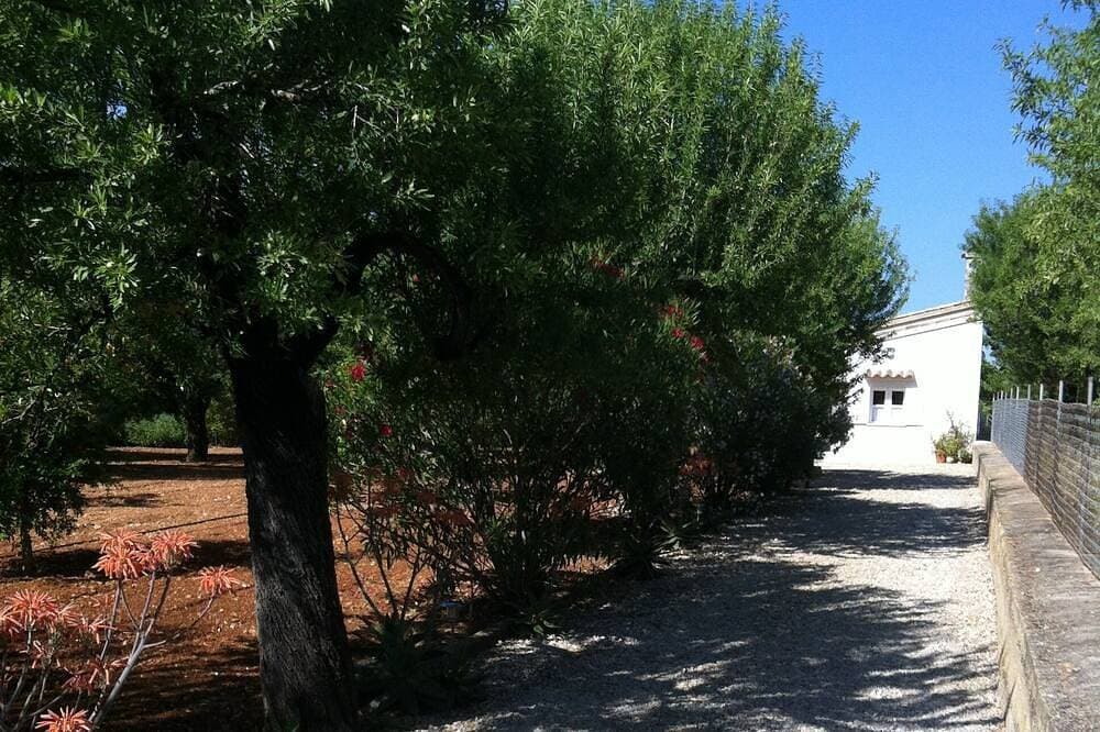 Foto 12 von 23: Haus auf der Insel Mallorca, in einer grünen