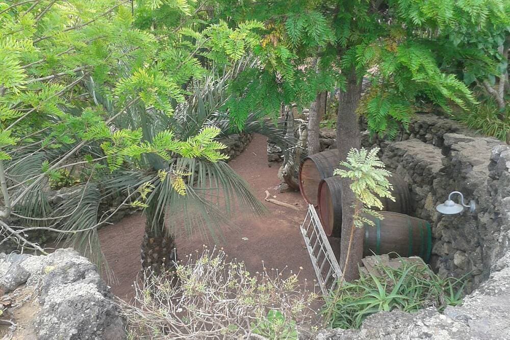 Foto 10 von 21: Finca El Lance die grüne Oase im Norden von Teneriffa
