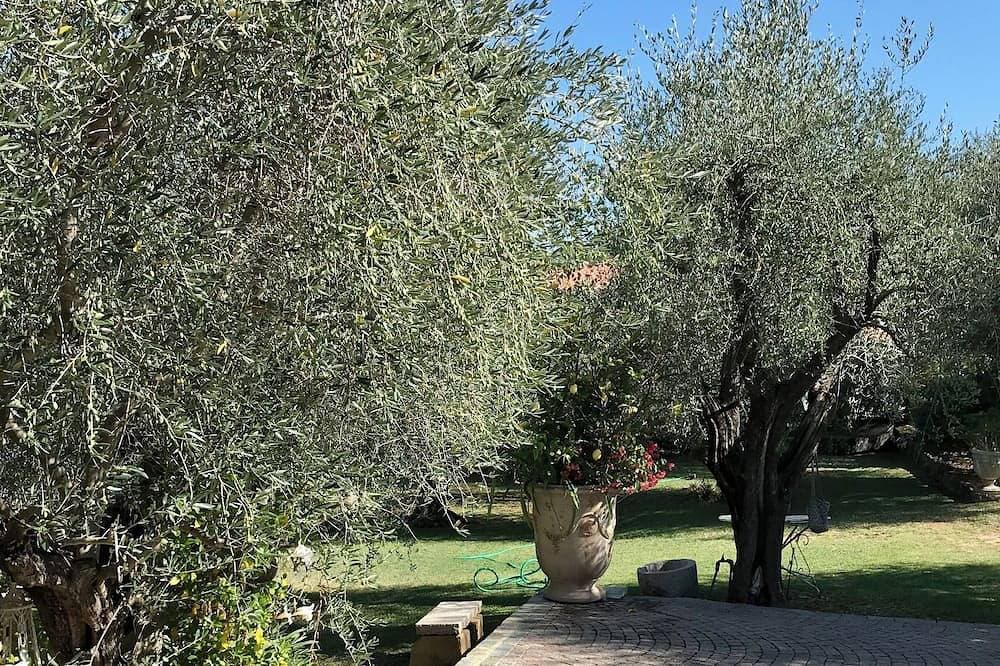 Foto 10 von 25: Le Bastidon des Oliviers, countryside at the gateway to Cannes