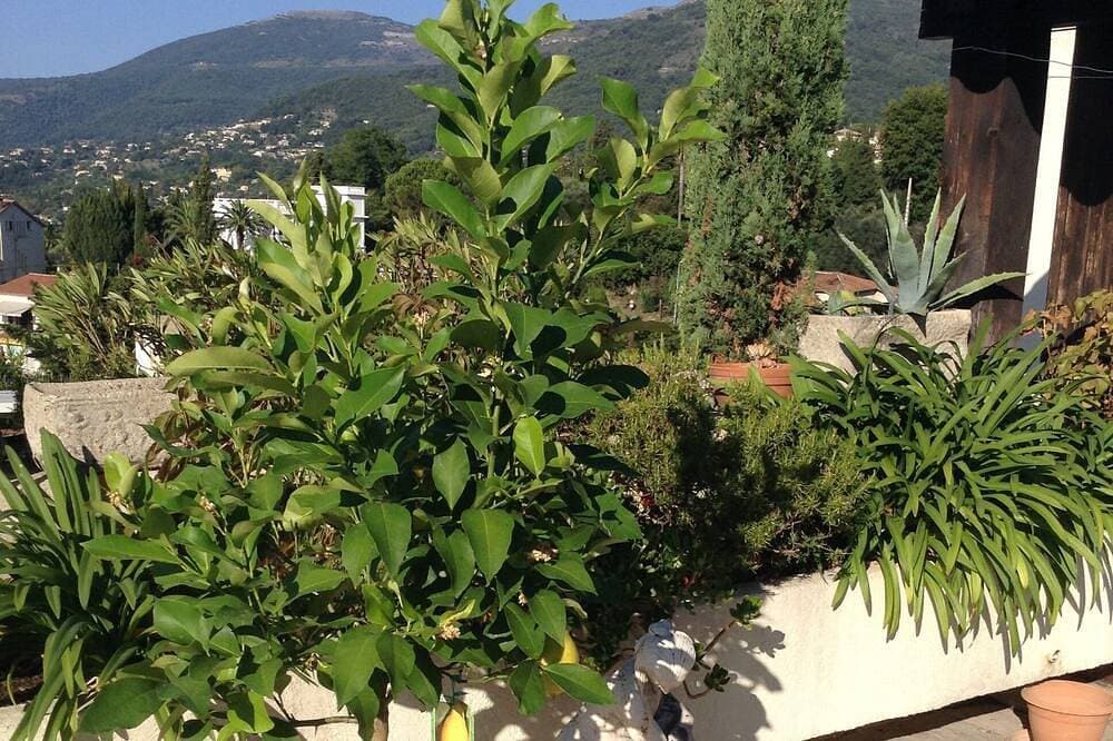Foto 10 von 30: Eine herrliche dominante Wohnung mit großer privater Terrasse